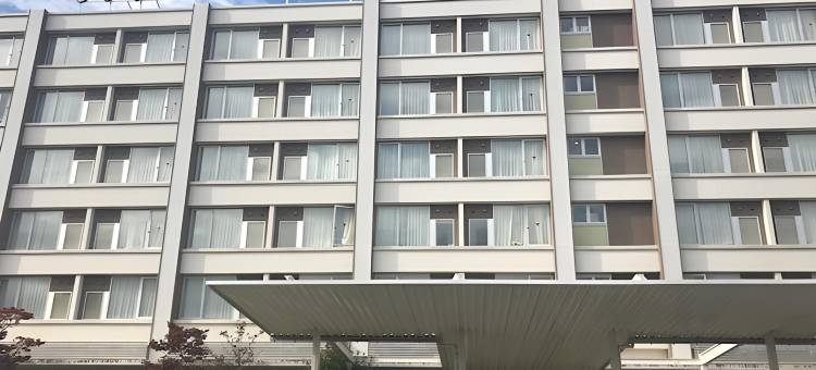 白川微笑酒店(Smile Hotel Shirakawa)图片
