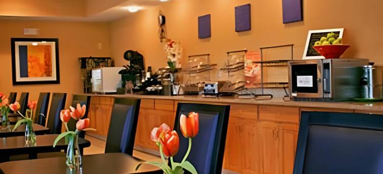 哈特福德曼彻斯特万枫酒店(Fairfield Inn & Suites Hartford Manchester)图片