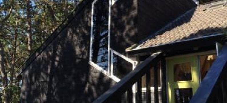 森林小屋酒店(De Folks)图片