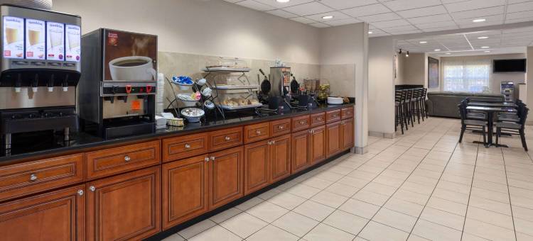 Microtel Inn & Suites by Wyndham Ann Arbor图片