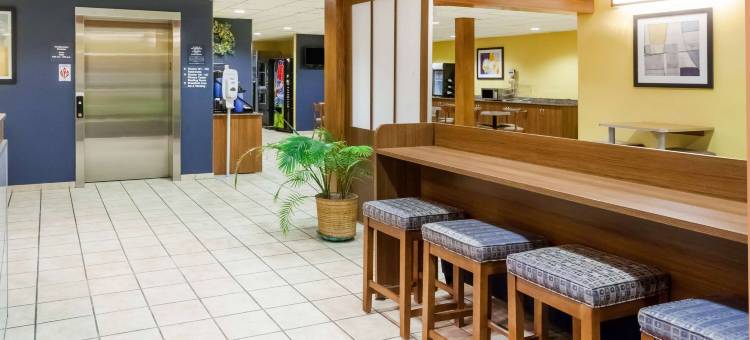 迪克森城/斯克兰顿麦客达温德姆酒店(Microtel Inn & Suites by Wyndham Dickson City/Scranton)图片