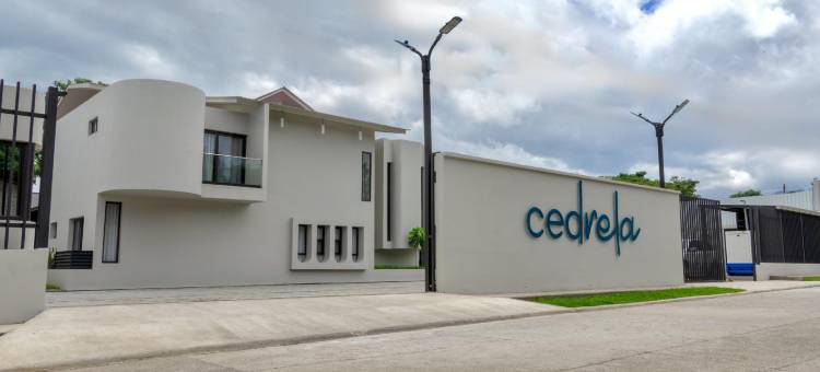 雪松酒店(Cedrela)图片