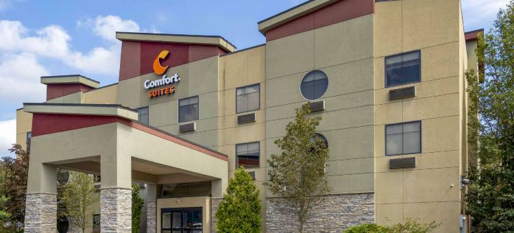 舒适套房酒店(Comfort Suites)图片