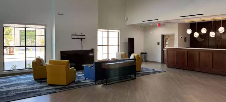 舒适酒店及套房亨茨维尔近大学(Comfort Inn & Suites Huntsville Near University)图片