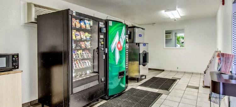 佛罗里达威尼斯 6 号汽车旅馆(Motel 6 Venice, FL)图片