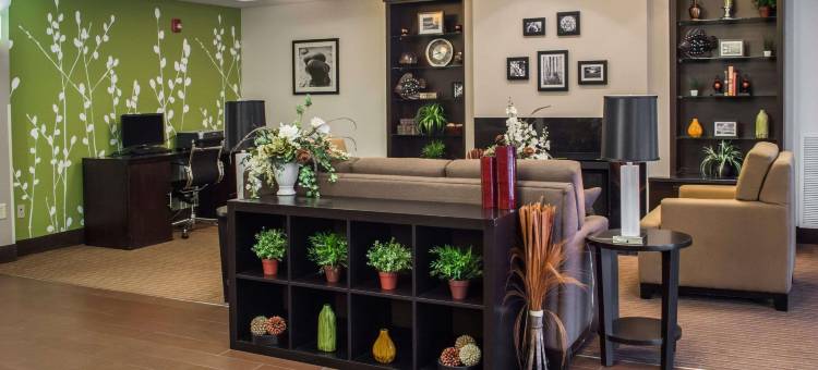 安眠套房酒店-普安特港(Sleep Inn & Suites Harbour Pointe)图片