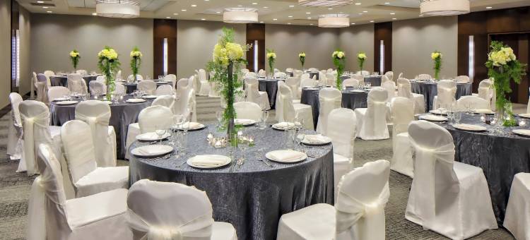 Crowne Plaza 芝加哥地铁市区(Crowne Plaza Chicago West Loop)图片