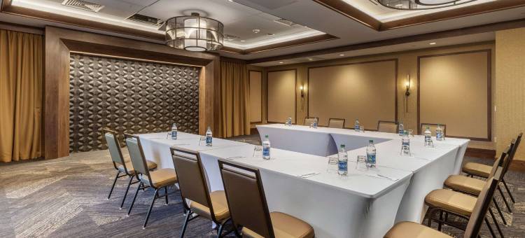 阿伦德尔米尔斯BWI机场坎布里亚酒店(Cambria Hotel - Arundel Mills BWI Airport)图片