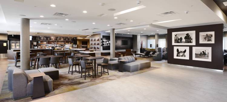 达拉斯普拉诺/科勒尼万怡酒店(Courtyard Dallas Plano/The Colony)图片