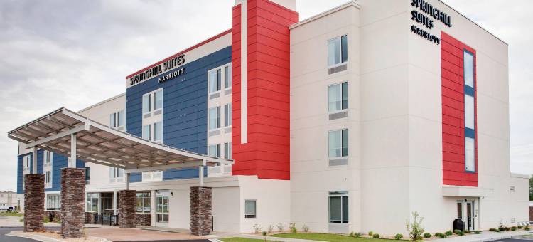 默里万豪SpringHill Suites酒店(SpringHill Suites Murray)图片
