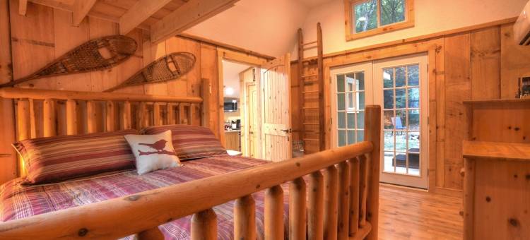 Cozy Forest Tiny Cabin • Hot Tub • Fire Pit • Pets Welcome • Near Noc & Gsmr图片