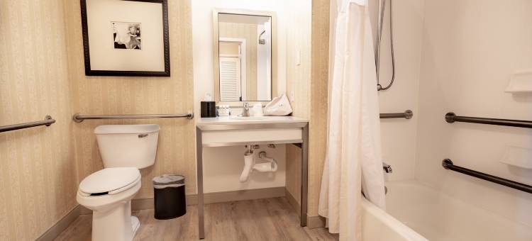 伦顿西雅图希尔顿花园酒店(Hilton Garden Inn Seattle/Renton)图片