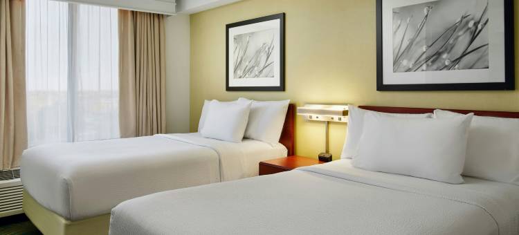 芝加哥埃尔姆赫斯特／橡树溪地区万豪SpringHill酒店(SpringHill Suites Chicago Elmhurst/Oakbrook Area)图片