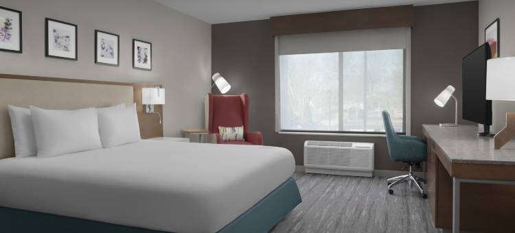 亚特兰大北约翰溪希尔顿花园酒店(Hilton Garden Inn Atlanta North/Johns Creek)图片