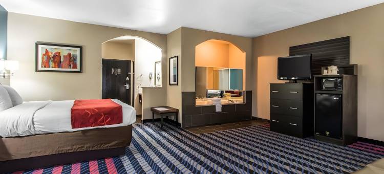 舒适套房酒店-费尔格朗斯西(Comfort Suites Fairgrounds West)图片