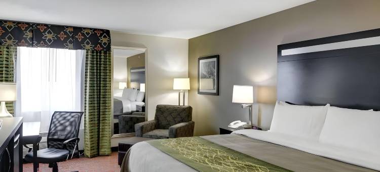 佩恩斯维尔舒适酒店(Comfort Inn)图片
