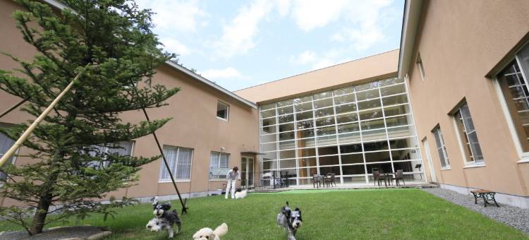 Yutorelo Tateshina Hotel with Dogs图片