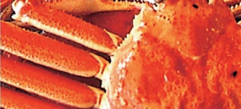 加茂屋(Kamoya)图片