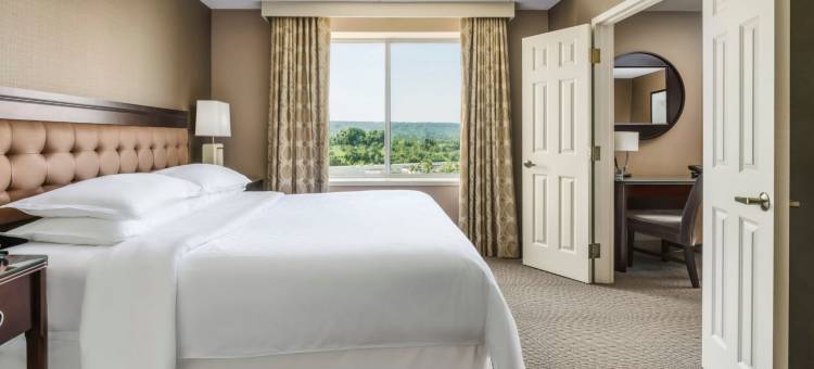 喜来登大峡谷酒店(Sheraton Great Valley Hotel)图片