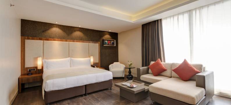 加尔各答机场假日酒店(Holiday Inn KOLKATA AIRPORT by IHG)图片