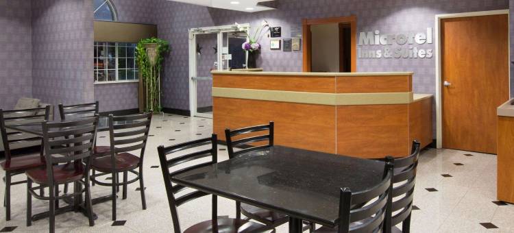加兰达拉斯麦客达温德姆酒店(Microtel Inn & Suites by Wyndham Garland/Dallas)图片