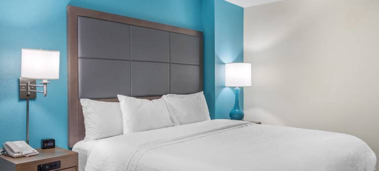 希尔顿欢朋酒店-埃德尔(Hampton Inn Adel)图片