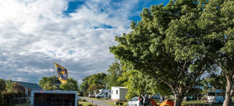 马丁博若前10度假公园酒店(Martinborough Top 10 Holiday Park)图片