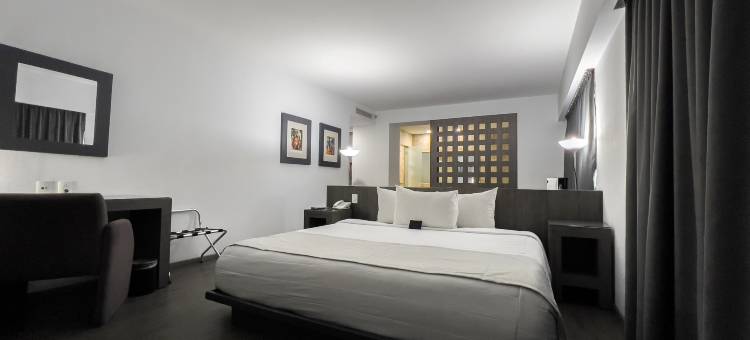 阿罗普维尔酒店(We Hotel Aeropuerto)图片
