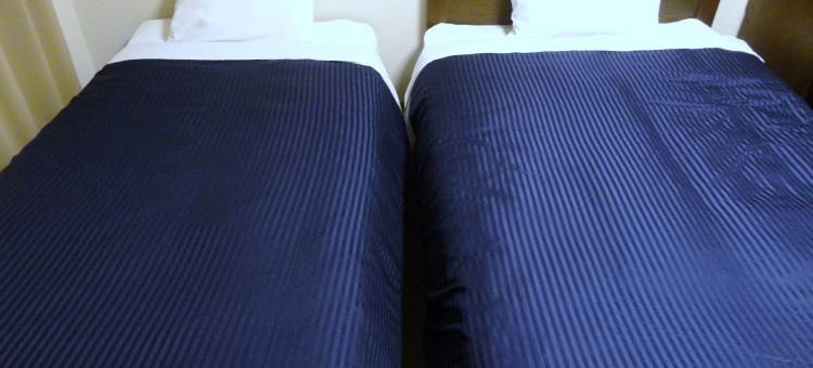 利夫马克斯经济型酒店-名古屋店(HOTEL LiVEMAX BUDGET Nagoya)图片