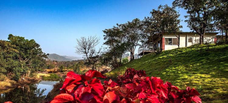 星宿偷懒河边小屋(CosmicStays Lazy River Cottage-Stargazers Paradise)图片