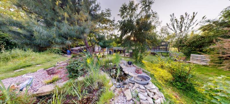 柳树的呼吸(Le Souffle du Saule)图片