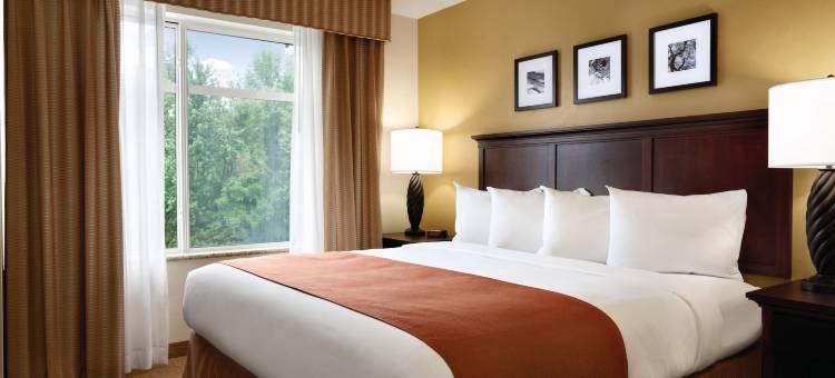 丽怡套房酒店, 罗维莎和Northside格威内特医院(Country Inn & Suites by Radisson, Lawrenceville Near Northside Hospital Gwinnett)图片