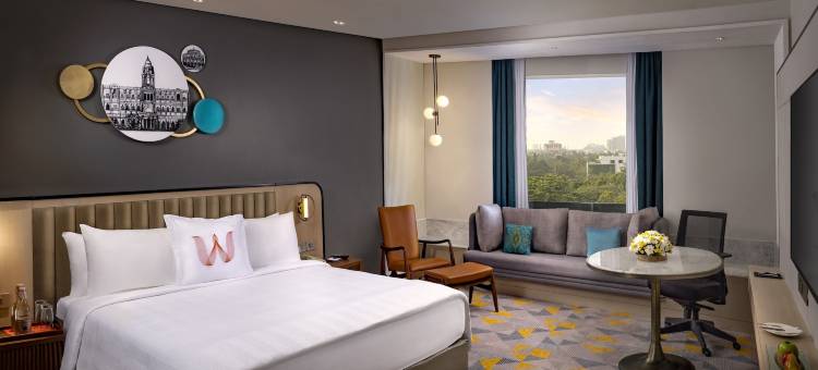 ITC酒店欢迎酒店-大教堂路-金奈(Welcomhotel by ITC Hotels, Cathedral Road, Chennai)图片