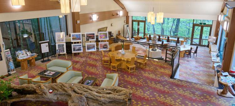 Tabist 洗心亭会津汤野上温泉酒店(Tabist Koboshi No Yu Senshintei Aizu Yunokamionsen)图片