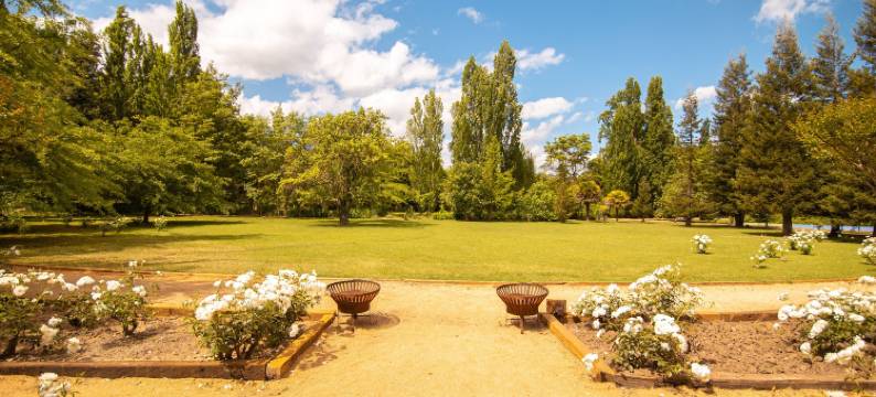 海滩葡萄酒庄酒店(Viña la Playa Hotel & Winery)图片