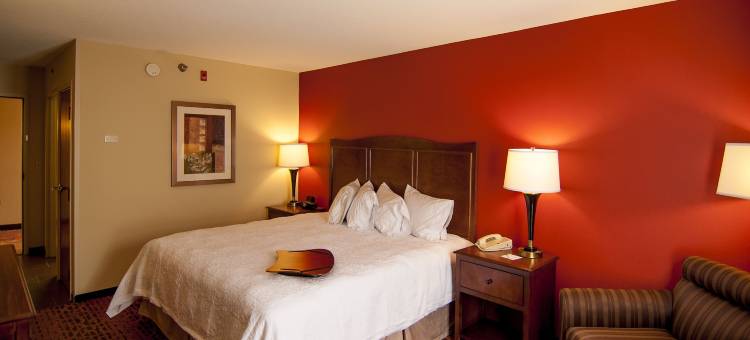 北坦帕希尔顿欢朋旅馆&套房酒店(Hampton Inn & Suites Tampa-North)图片