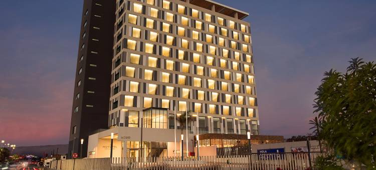 阿里卡诺富特酒店(Novotel Arica)图片