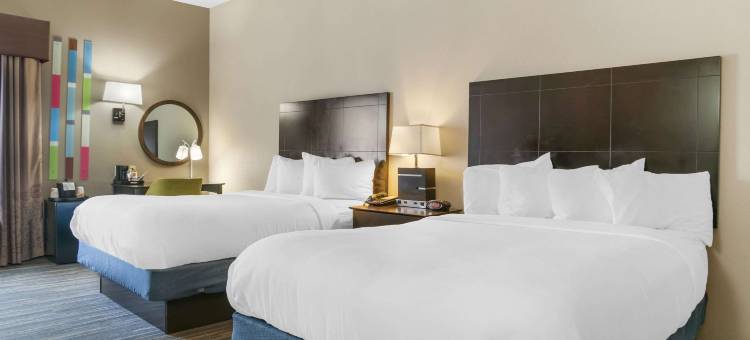 舒适套房酒店(Comfort Inn & Suites Toledo North)图片