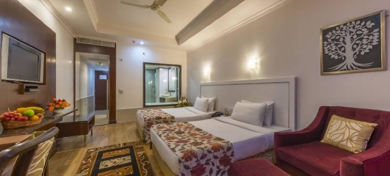 巴内斯瓦尔印度斯坦布酒店(Hotel Hindusthan International, Bhubaneswar)图片