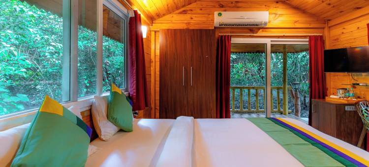 Treebo 岩谷(Treebo Rock Valley)图片