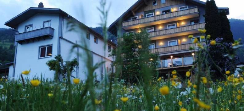 陶尔斯特酒店(Hotel Tauernstern)图片