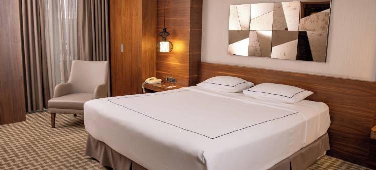 安卡拉海葵酒店(Anemon Kent Ankara Otel)图片