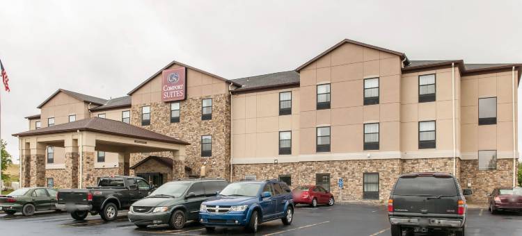 万塞讷舒适套房酒店(Comfort Suites)图片