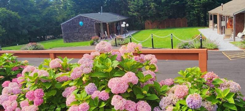 大海天堂度假汽车旅馆(Sea Haven Resort Motel)图片