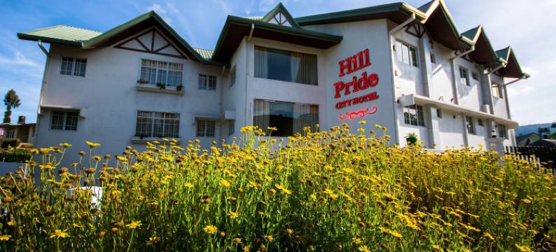 希尔普赖德城市酒店(Hill Pride City Hotel)图片