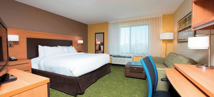 列克星敦南/汉堡广场TownePlace Suites酒店(TownePlace Suites Lexington South/Hamburg Place)图片