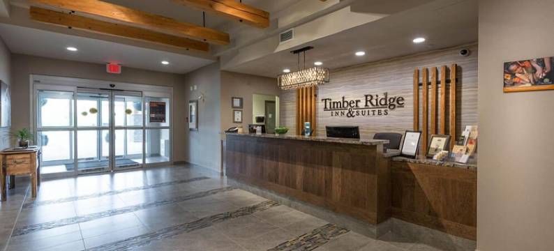 廷柏山套房酒店(Timber Ridge Inn and Suites)图片