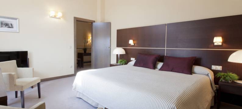 帕拉西奥波峰酒店(Rice Palacio de Los Blasones)图片