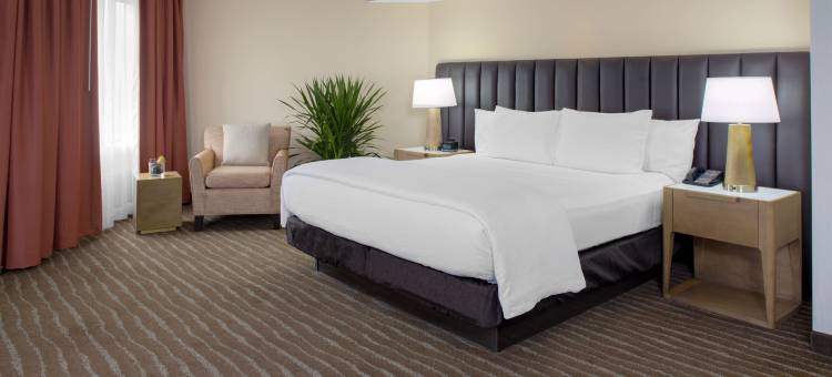 凤凰城斯科特代尔希尔顿安泊酒店(Embassy Suites by Hilton Phoenix Scottsdale)图片