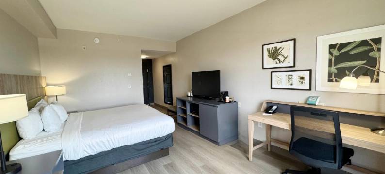 夏洛特港丽怡酒店(Country Inn & Suites by Radisson, Port Charlotte, FL)图片